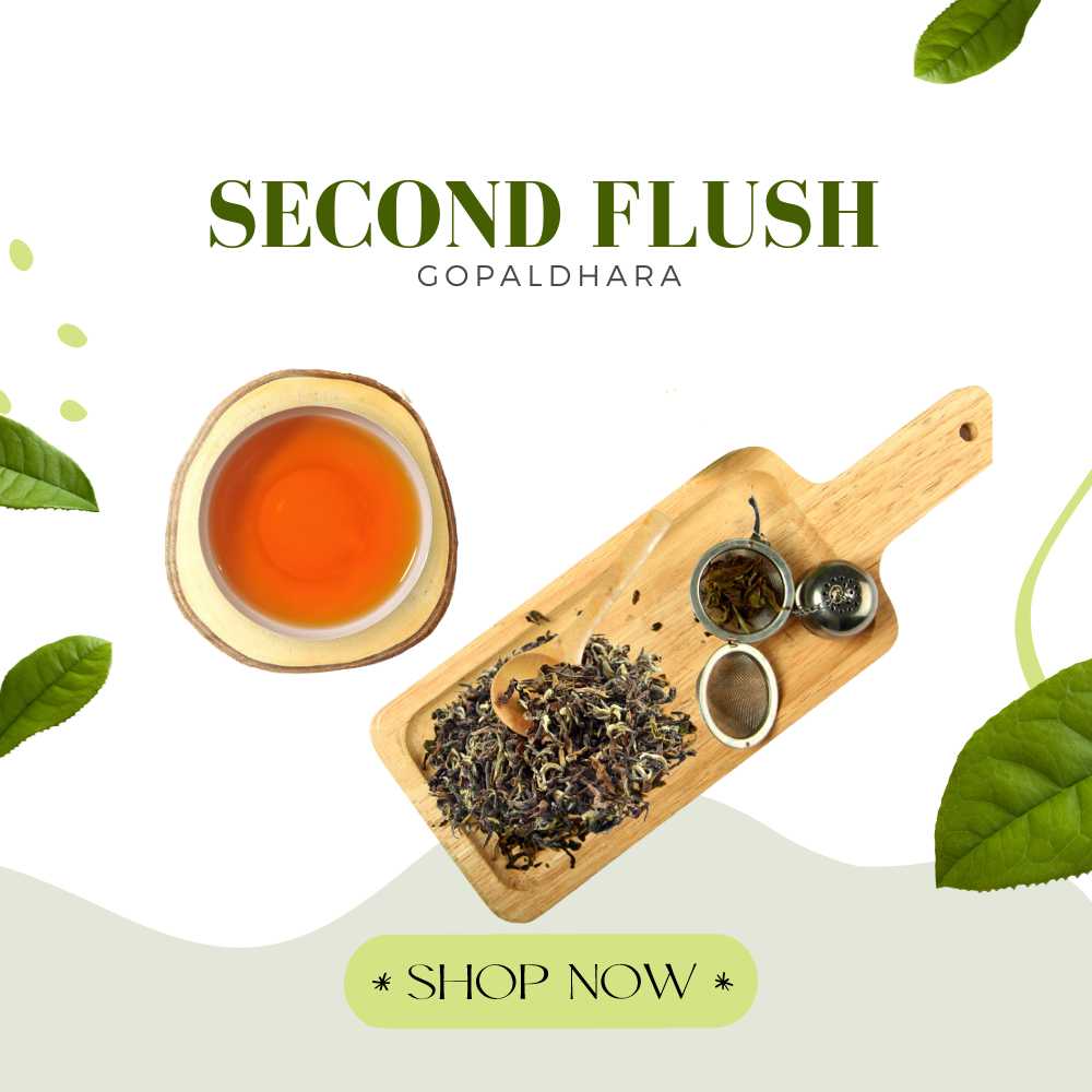 Aged pu-erh tea