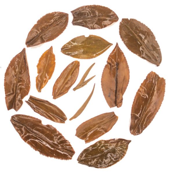Oolong tea leaves